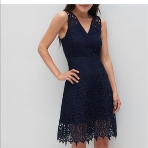 Banana Republic Factory Lace Fit-and-Flare Dress